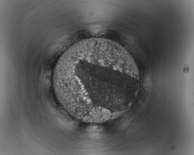 X0000115270319200911201734