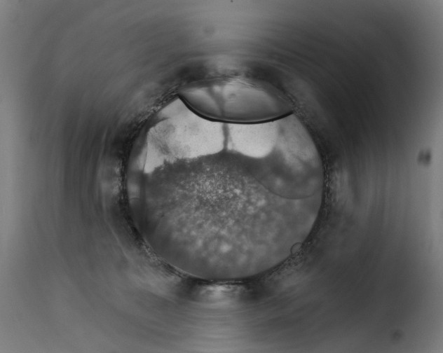 X0000115270323200911201734