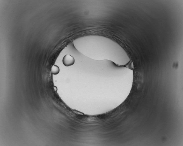 X0000115270324200911201734