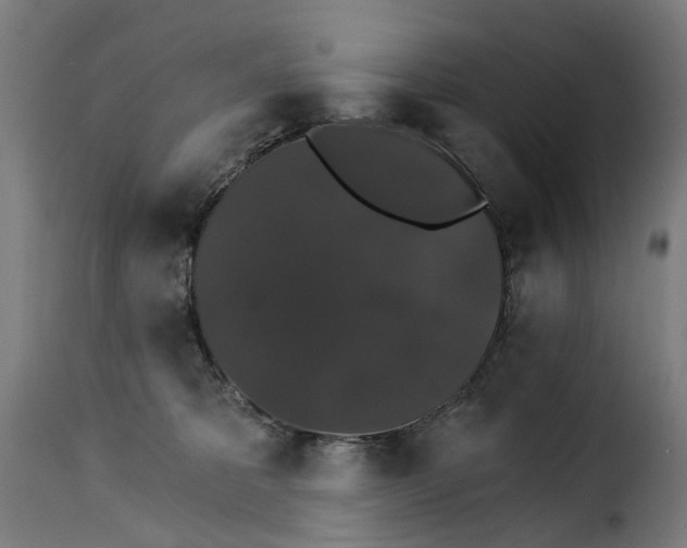 X0000115270325200911201734
