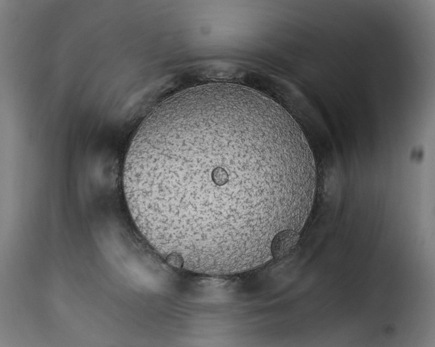 X0000115270326200911201734