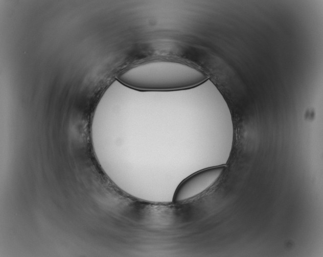 X0000115270327200911201734