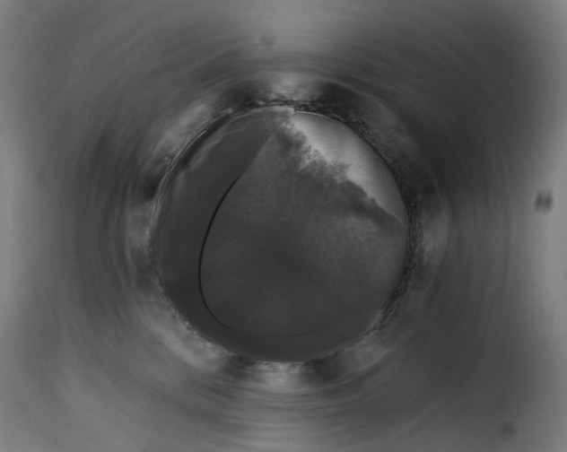 X0000115270328200911201734