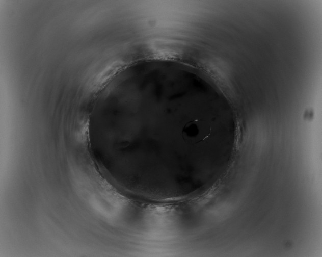X0000115270329200911201734