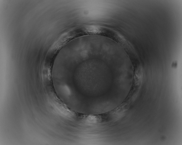 X0000115270330200911201734