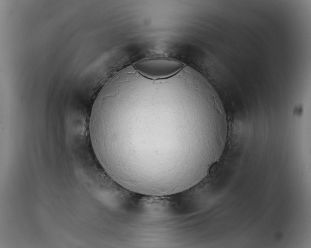 X0000115270331200911201734