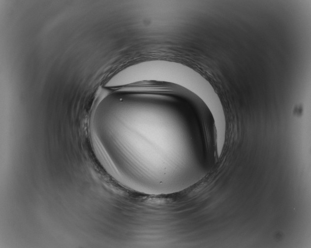 X0000115270332200911201734