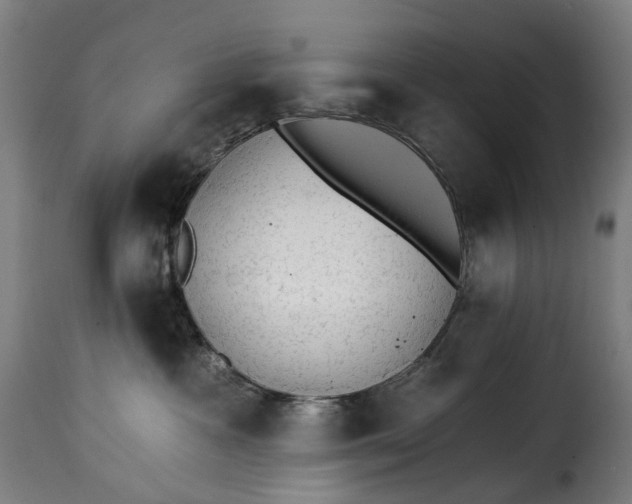 X0000115270333200911201734