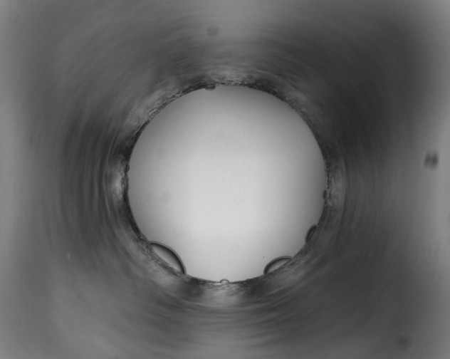 X0000115270334200911201734