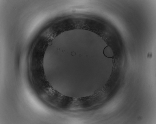 X0000115270335200911201734