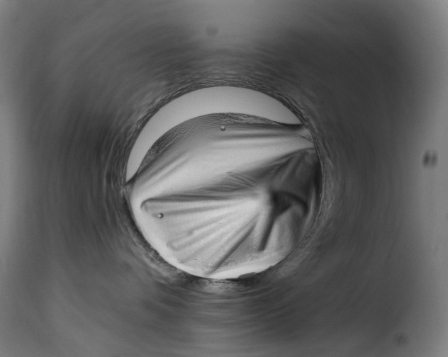 X0000115270336200911201734