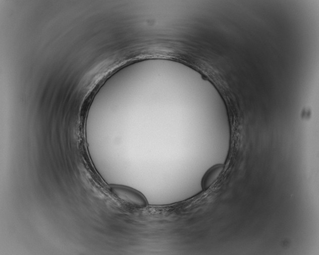 X0000115270338200911201733