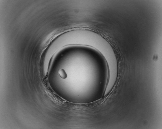 X0000115270339200911201733