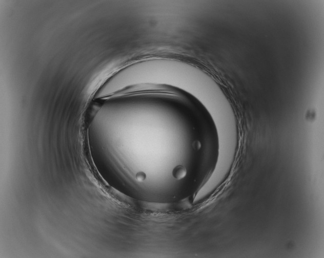 X0000115270341200911201733