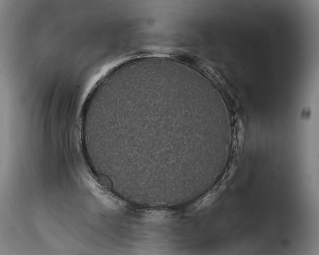 X0000115270342200911201734