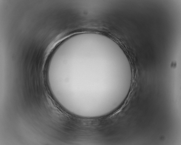 X0000115270343200911201734