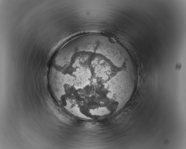 X0000115270346200911201734