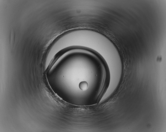 X0000115270347200911201734