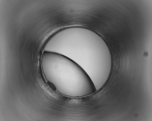 X0000115270350200911201734