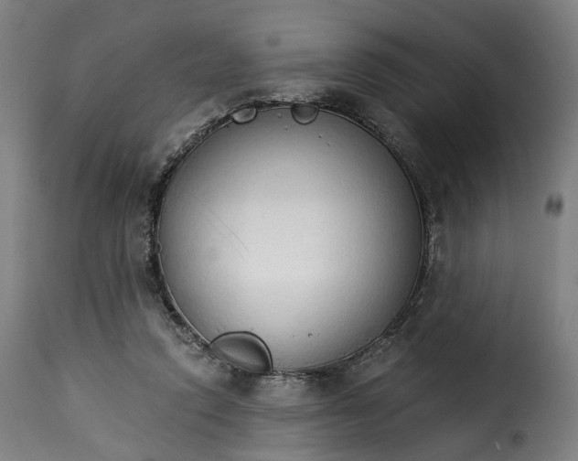 X0000115270354200911201734