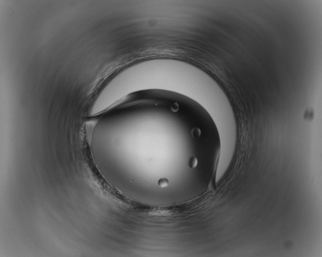 X0000115270357200911201734