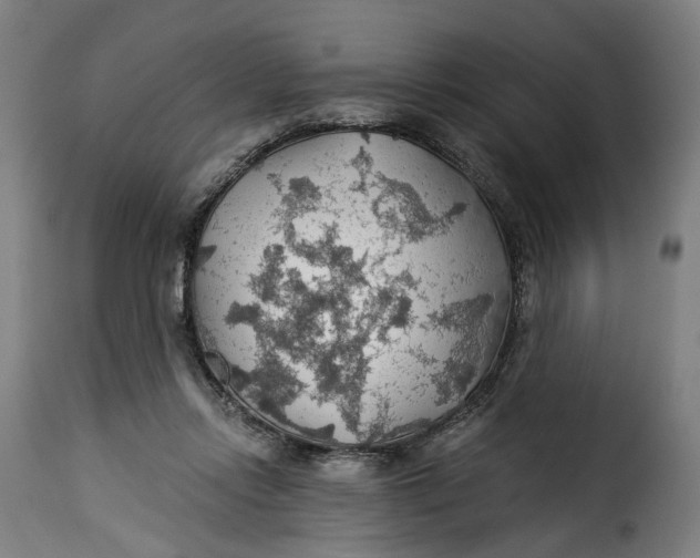 X0000115270358200911201734