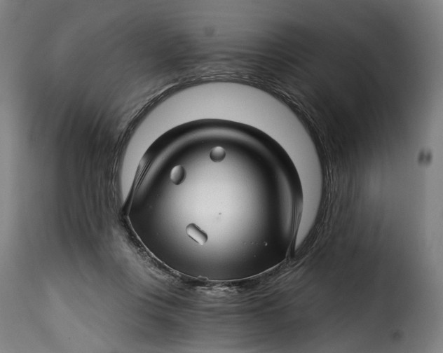 X0000115270359200911201734