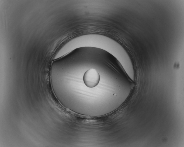 X0000115270361200911201734