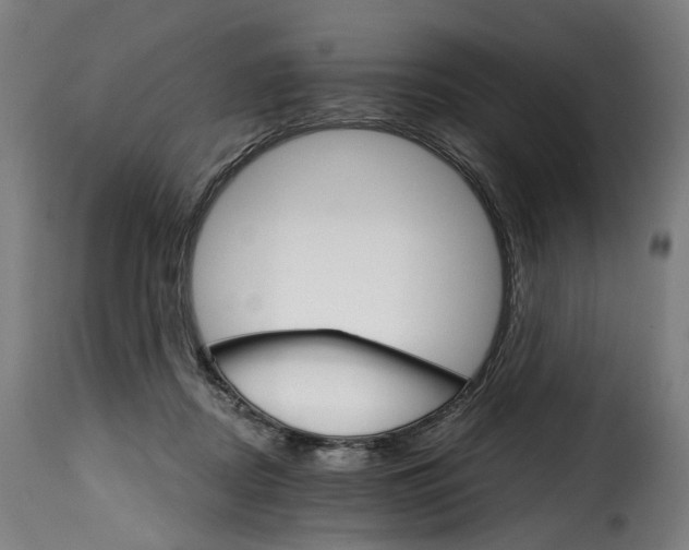 X0000115270362200911201734