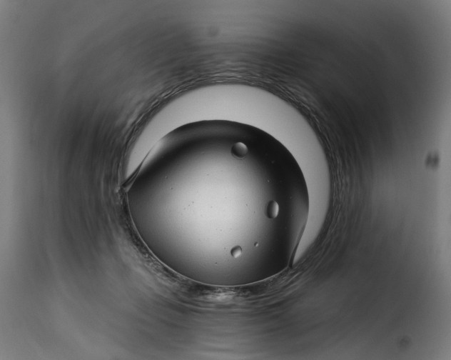 X0000115270365200911201734