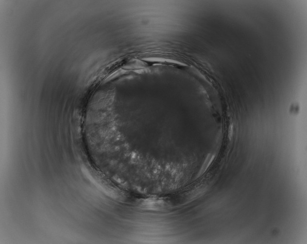 X0000115270366200911201734