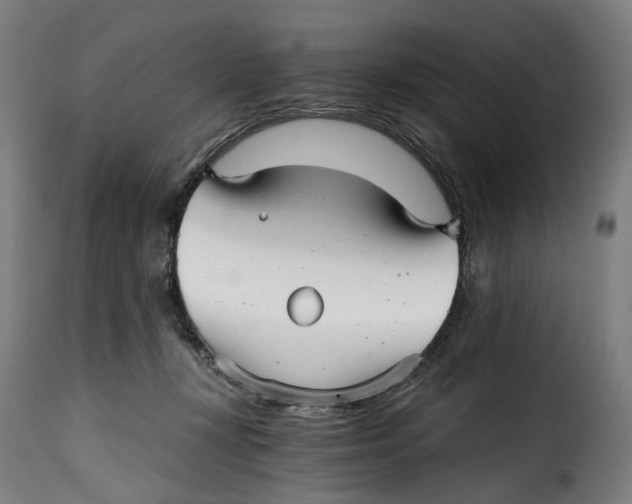 X0000115270367200911201734