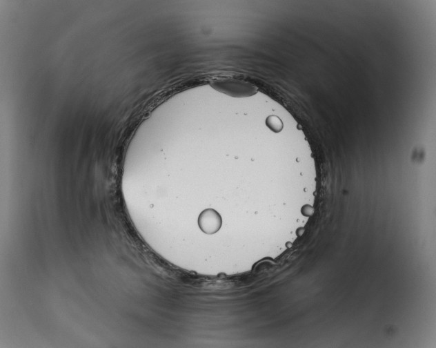 X0000115270369200911201734