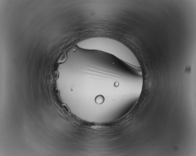 X0000115270371200911201734