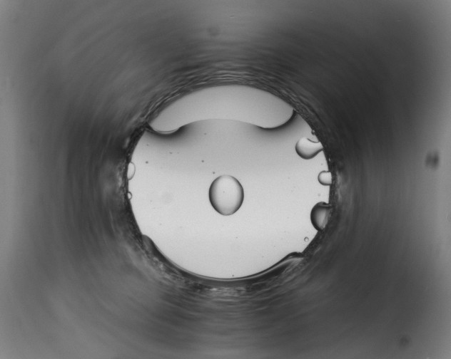 X0000115270373200911201734