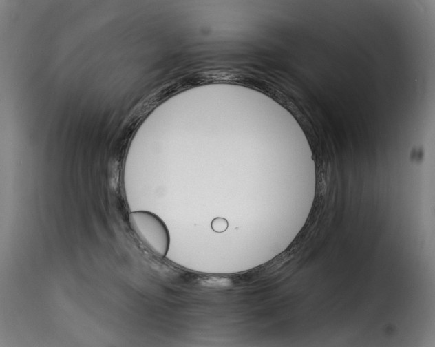 X0000115270374200911201734