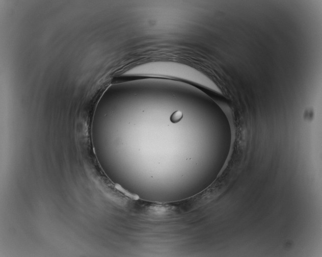 X0000115270375200911201734