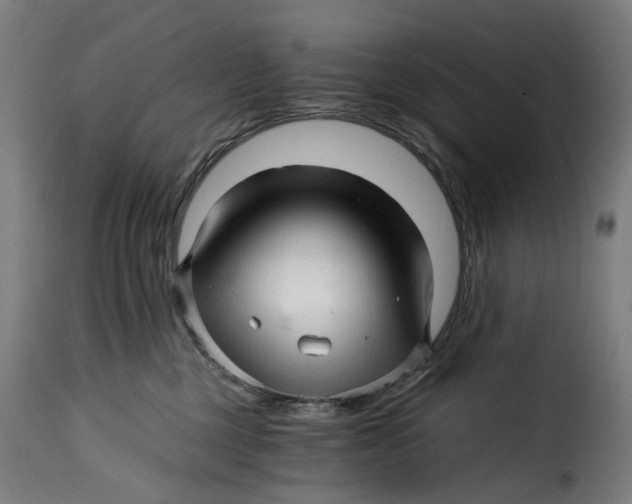 X0000115270377200911201734