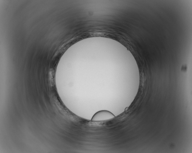 X0000115270378200911201734