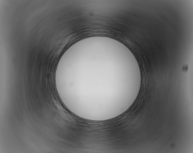 X0000115270379200911201734