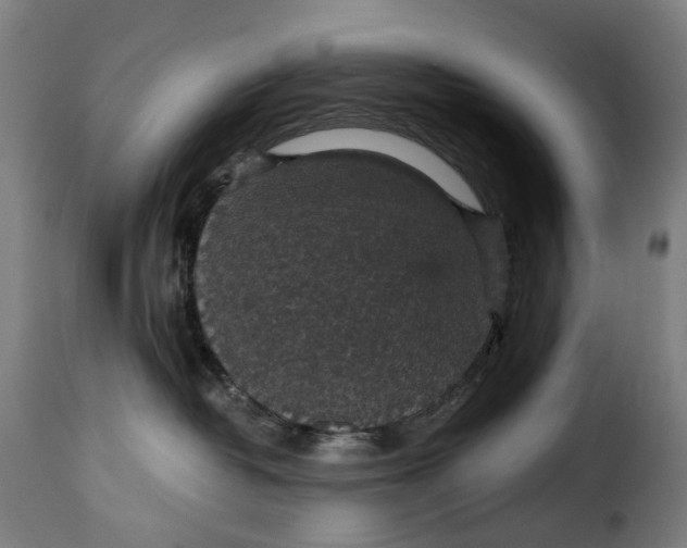 X0000115270382200911201734