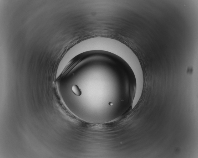 X0000115270383200911201734