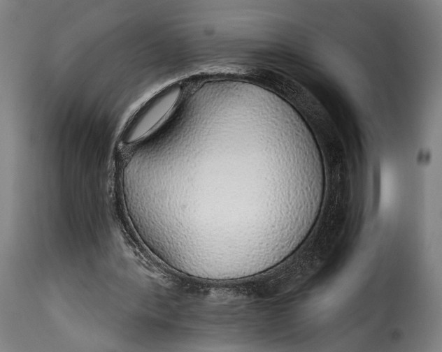 X0000115270388200911201733