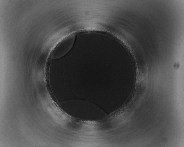 X0000115270391200911201733