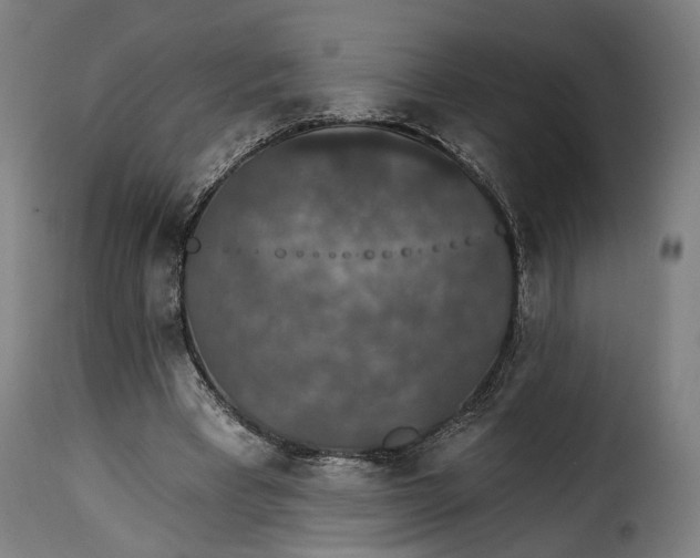 X0000115270393200911201733