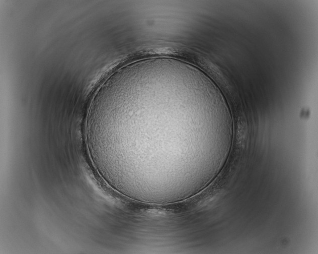 X0000115270394200911201733