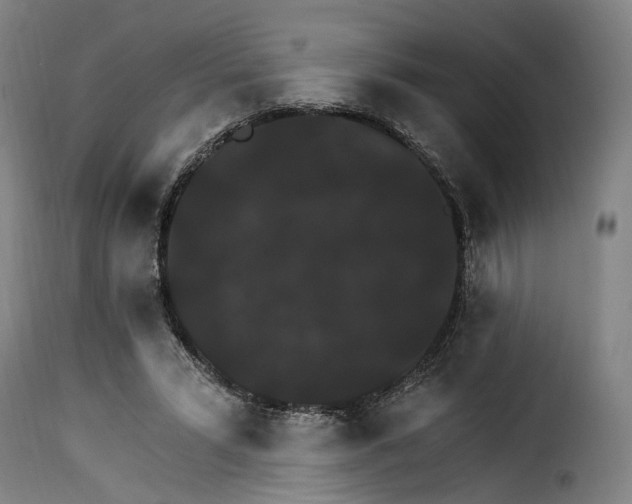 X0000115270399200911201733