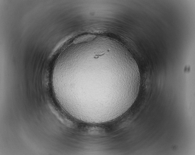 X0000115270400200911201733