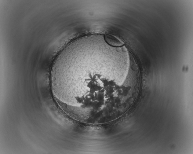 X0000115270401200911201733