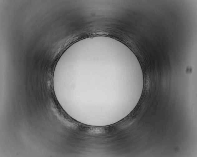 X0000115270402200911201733